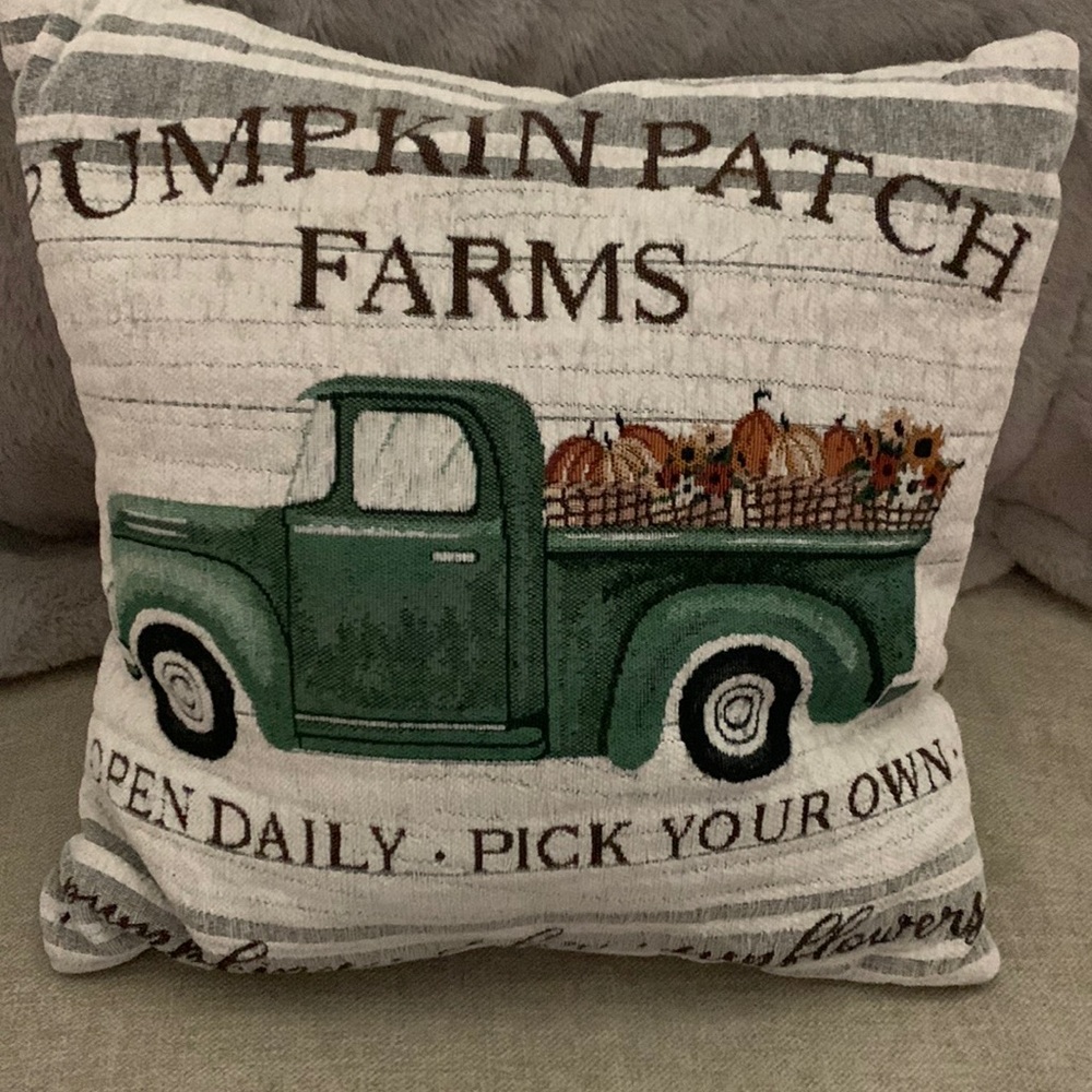 Pumpkin Patch Farms Harvest Decorative Pillow